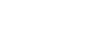 Cynara Festival 2024